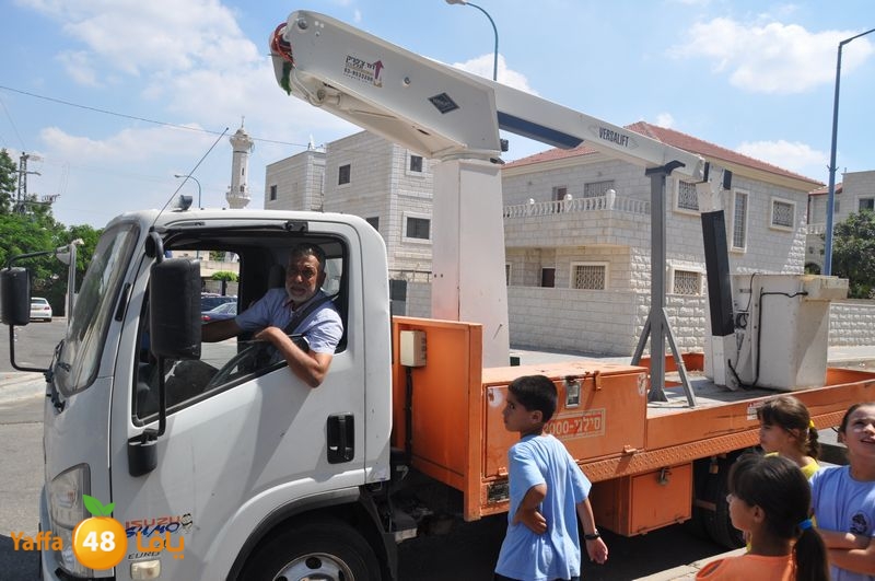 cat lud 910 (31).JPG